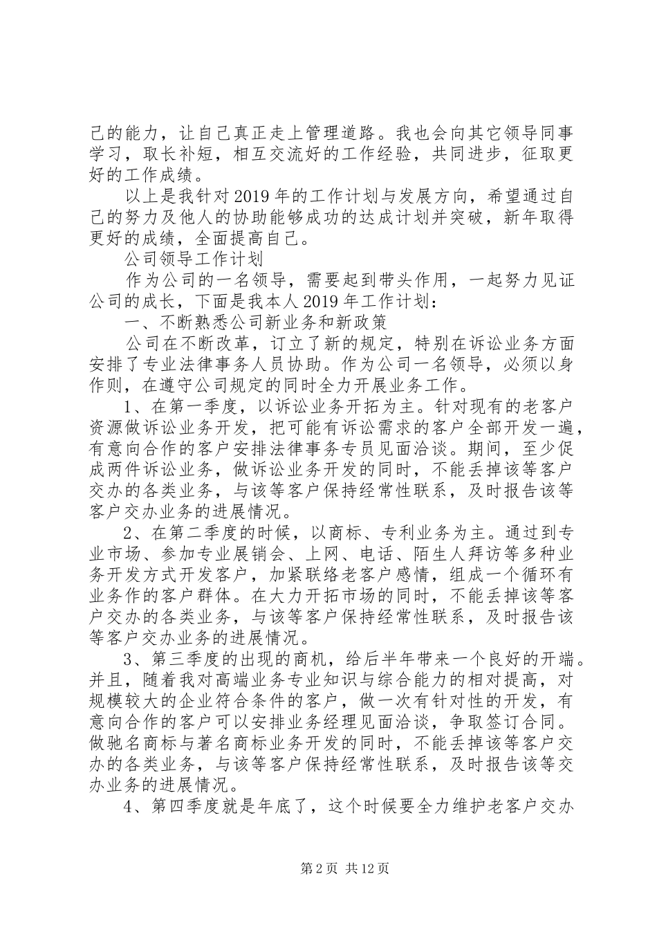 公司领导工作计划 _第2页