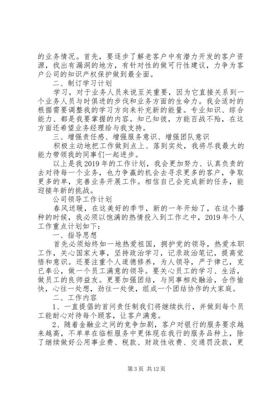 公司领导工作计划 _第3页