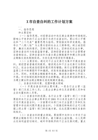 X市自查自纠的工作计划方案 