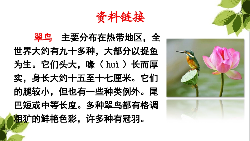 人教版部编版三年级上册语文15 搭船的鸟_第3页