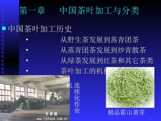 制茶学-华南农业大学 1