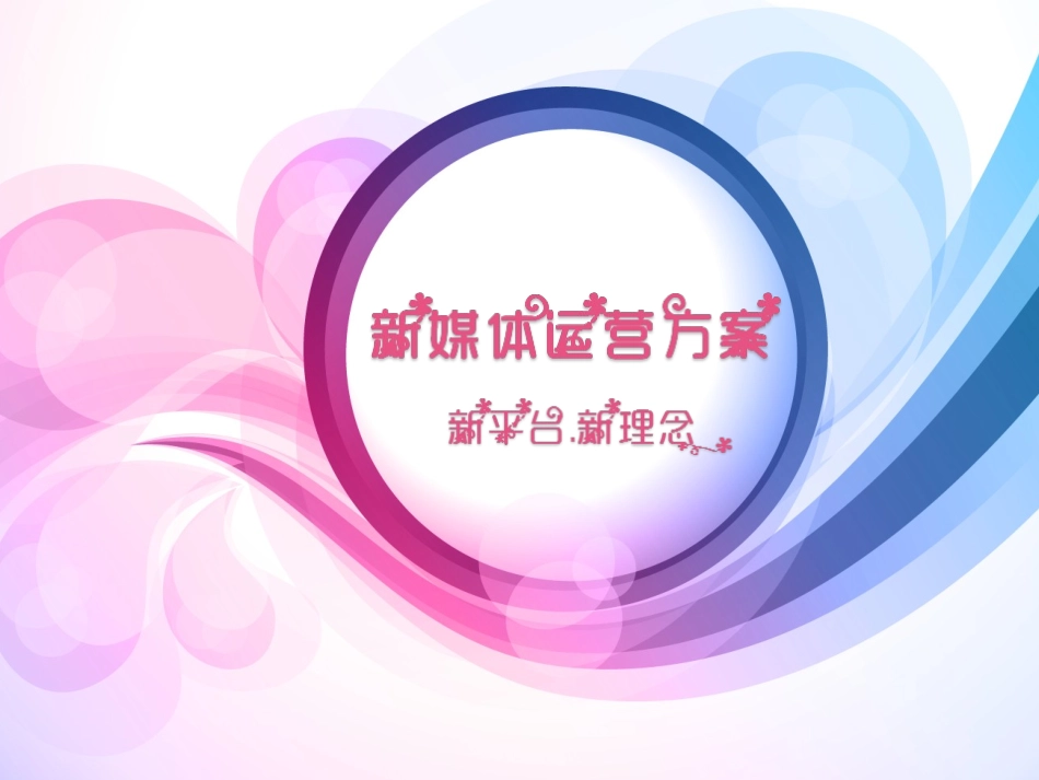 新媒体运营方案_第1页