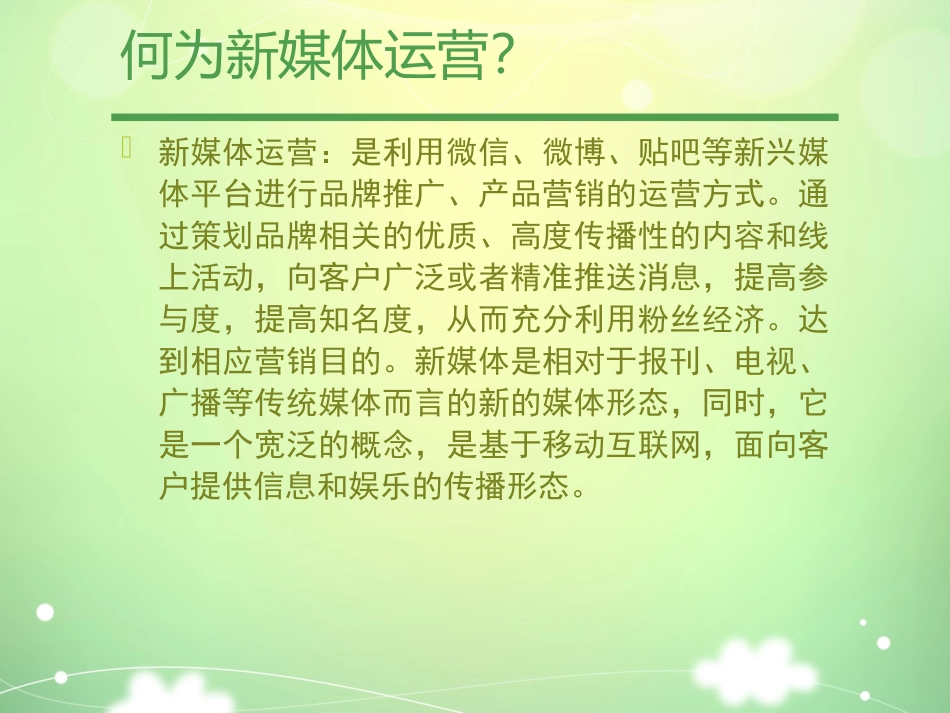 新媒体运营方案_第2页