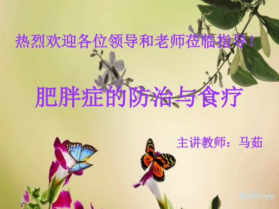 肥胖症的防治与食疗_第1页