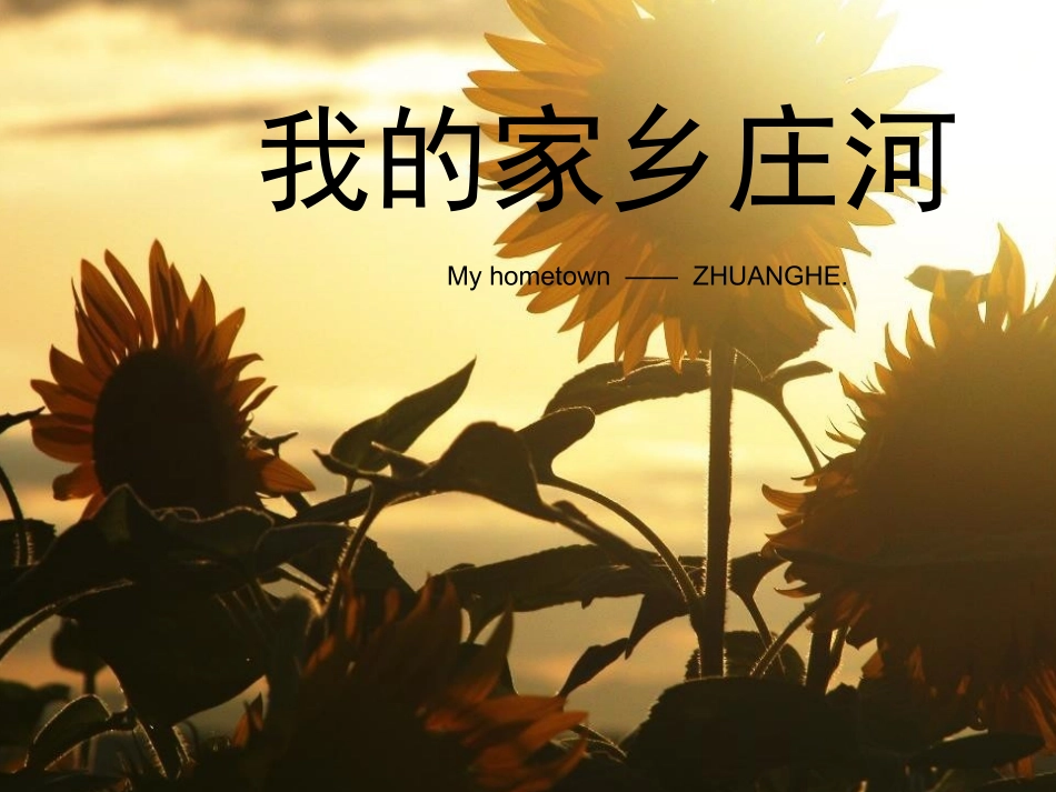 我的家乡——庄河_第1页