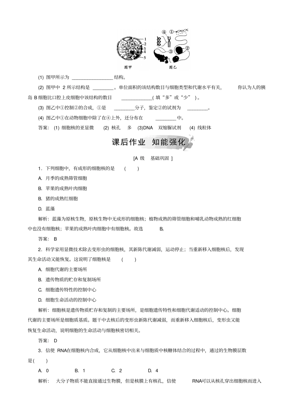 人教版高中生物高一必修一检测：_第3节_细胞核—系统的控制中心_第2页