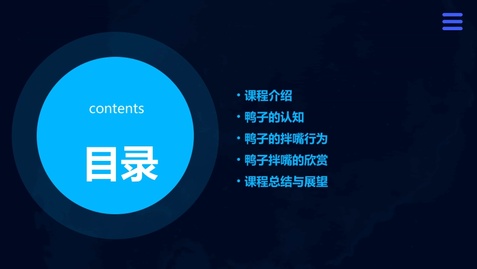 欣赏鸭子拌嘴课件_第2页