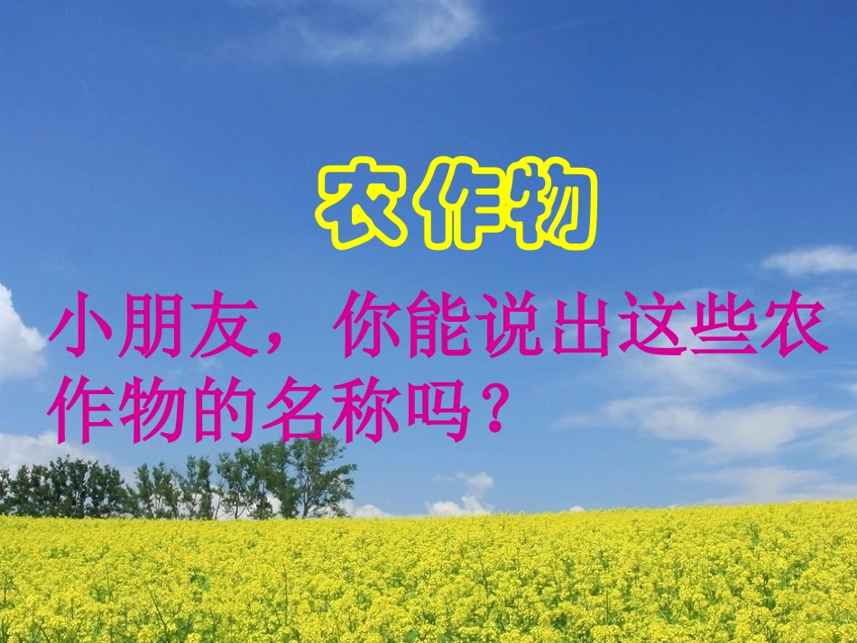幼儿园大班语言《认识农作物》_第2页