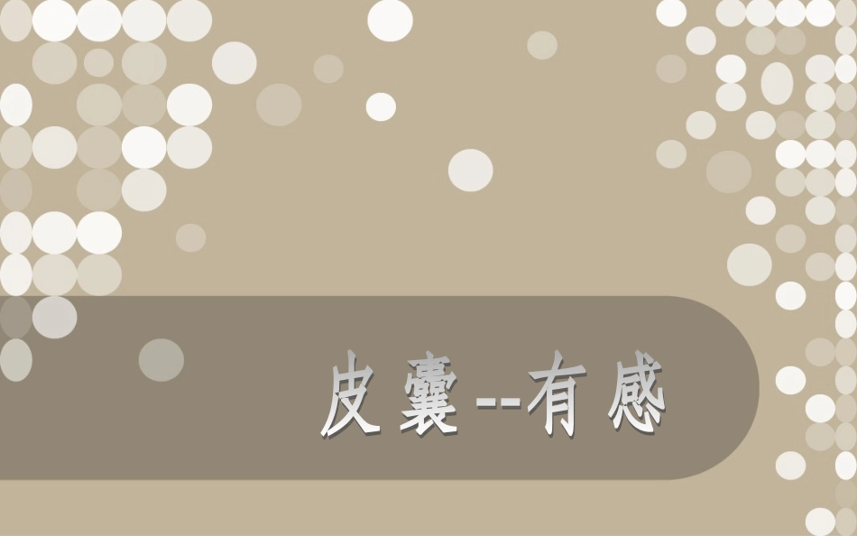 《皮囊》有感戴萍萍_第1页