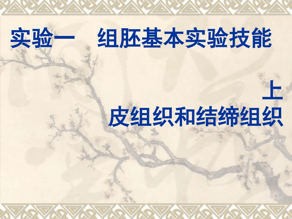 组织学与胚胎学实验一_第1页