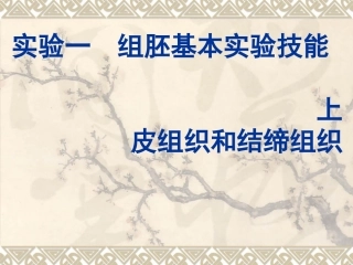 组织学与胚胎学实验一