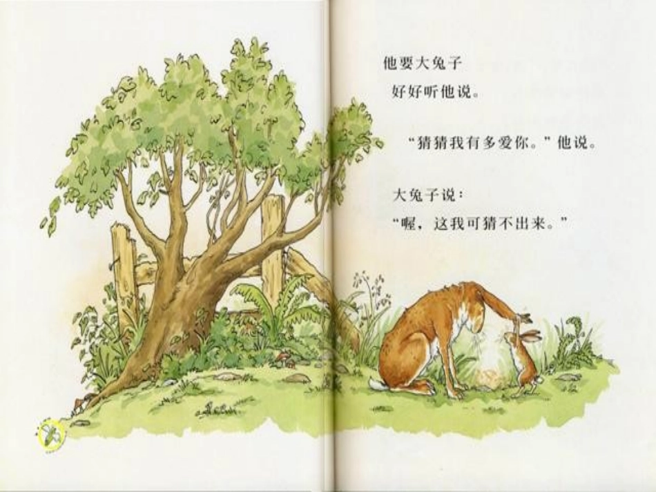 猜猜我有多爱你 (4)_第2页