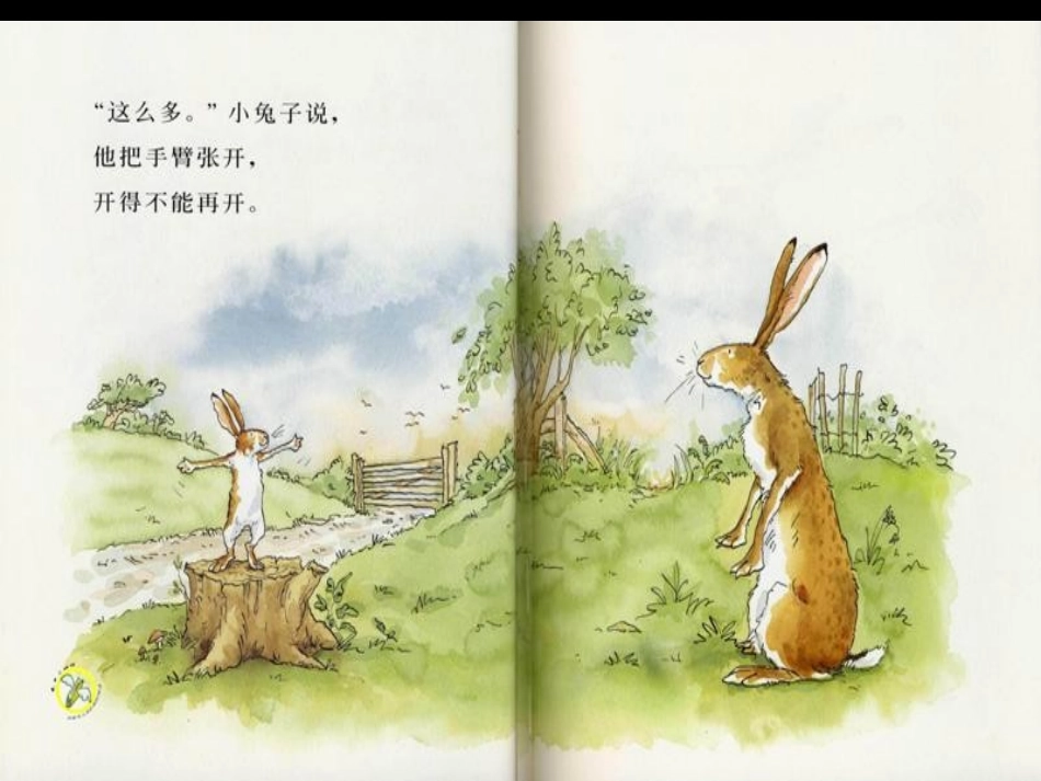 猜猜我有多爱你 (4)_第3页