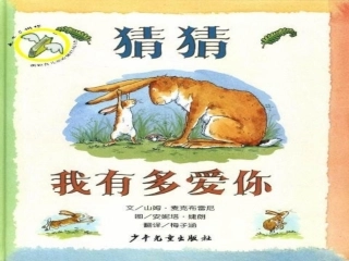 猜猜我有多爱你 (4)