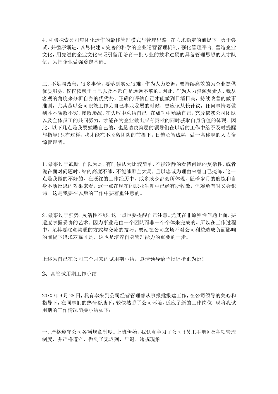 高管试用期小结_第3页