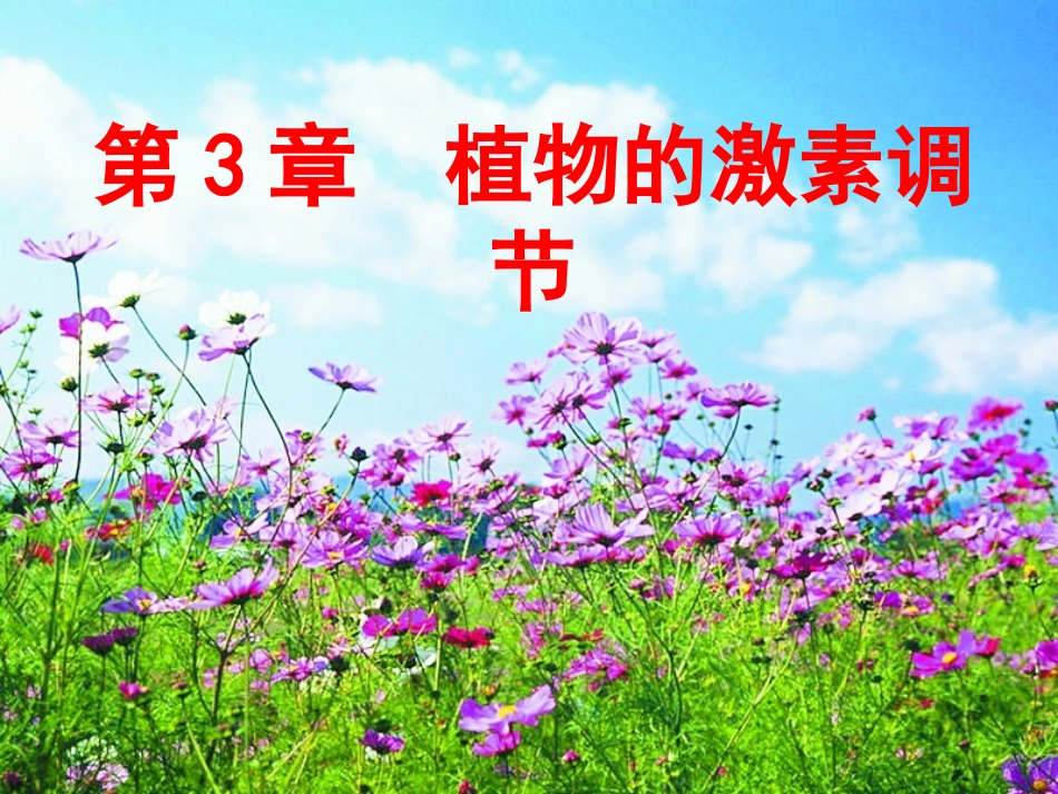 植物生长素的发现 上课课件_第2页