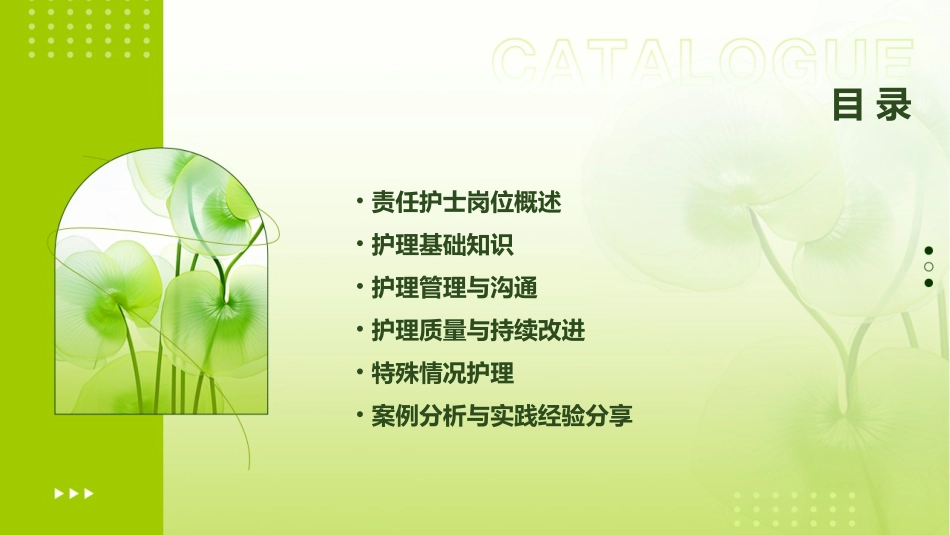 责任护士岗位管理护理课件_第2页