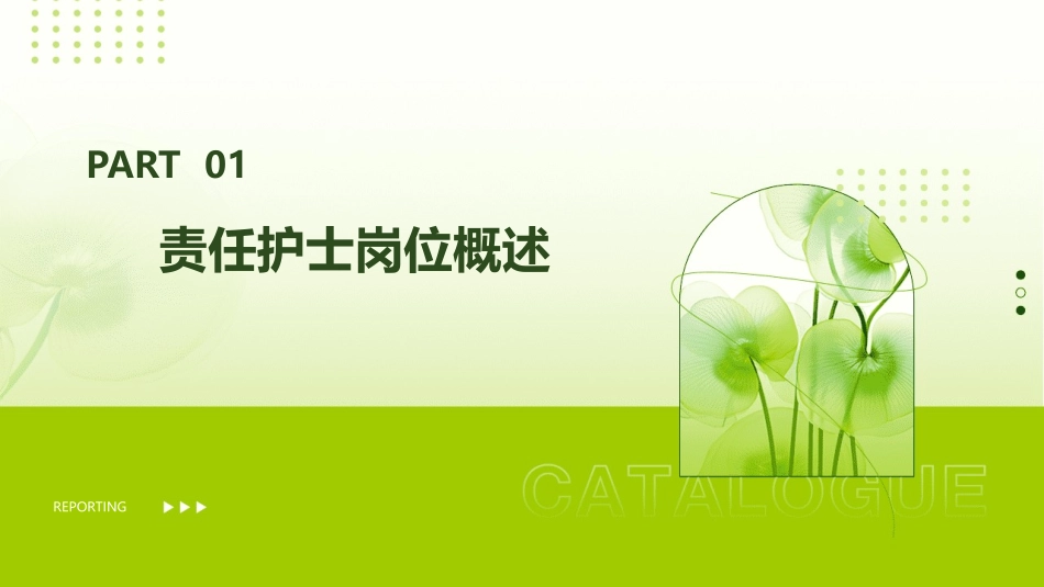 责任护士岗位管理护理课件_第3页