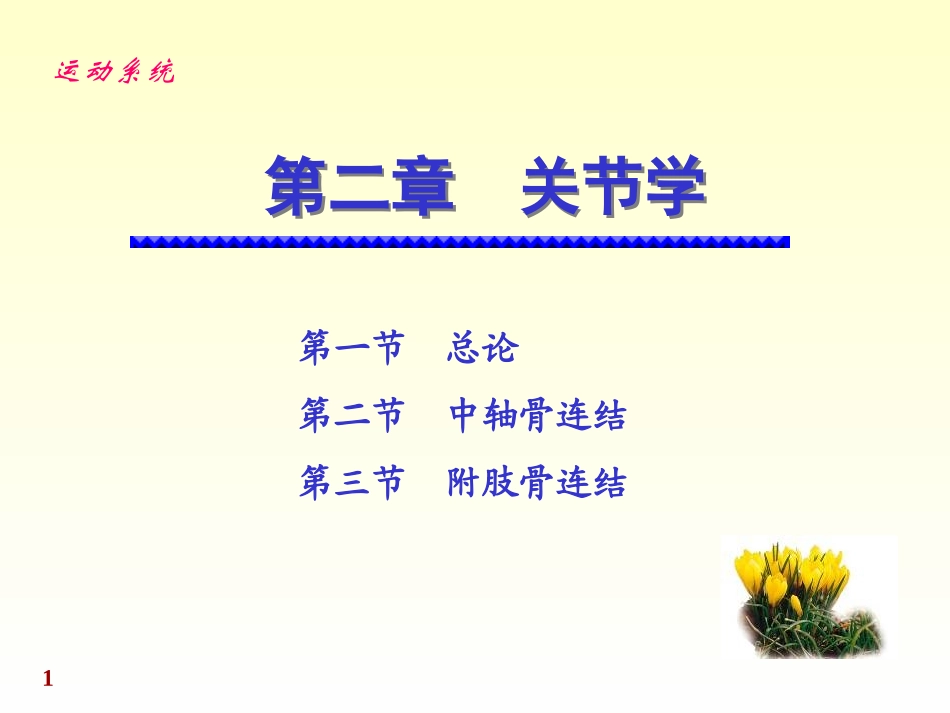 解剖学关节学_第1页