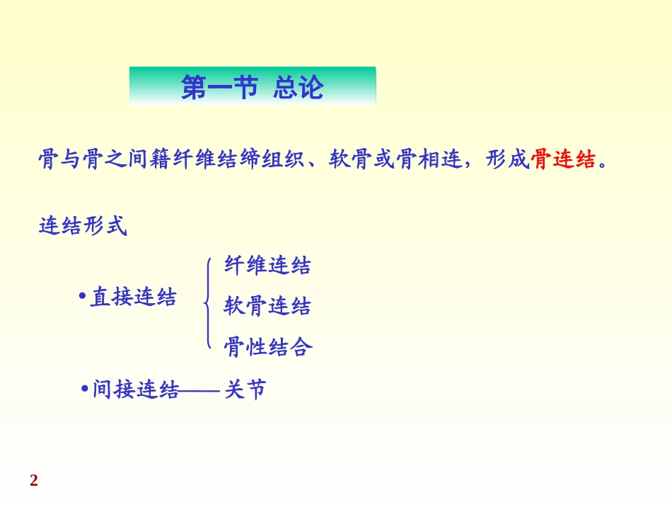 解剖学关节学_第2页