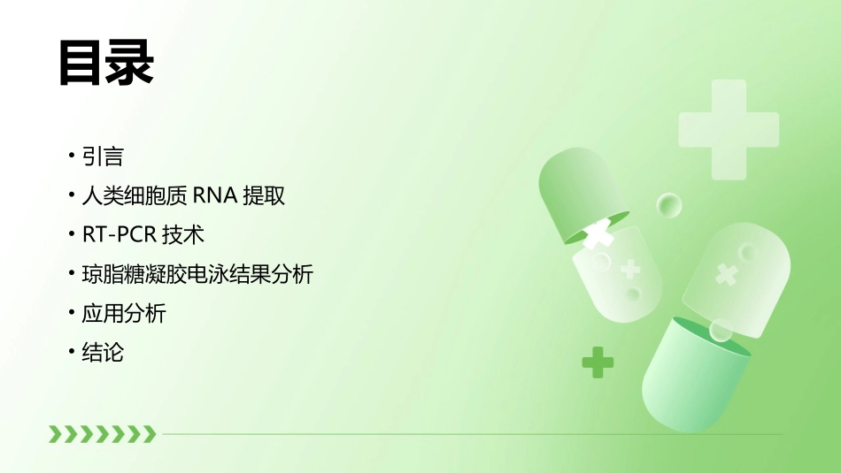 人类细胞质RNA提取RTPCR的原理方法琼脂糖凝胶电泳结果分析及其应用分析课件_第2页