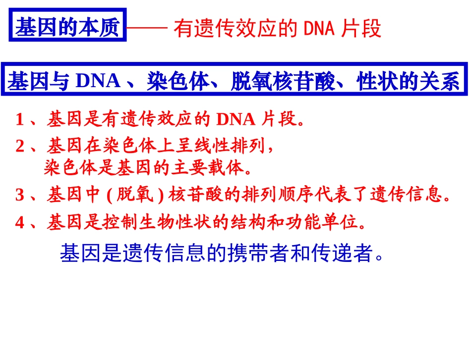 基因指导蛋白质合成_第1页