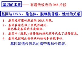 基因指导蛋白质合成