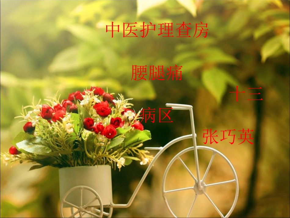 腰腿痛中医护理查房_第1页