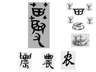 发达的古代农业
