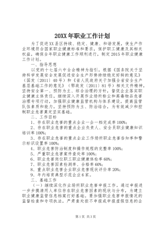 20XX年职业工作计划