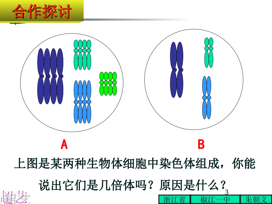 染色体变异4_第3页