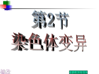 染色体变异4
