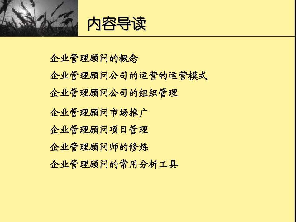 企业管理咨询公司运营管理规划_第3页