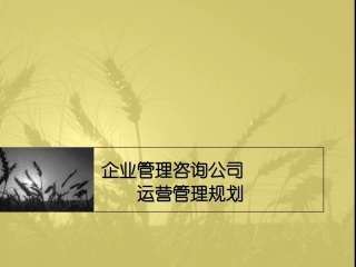 企业管理咨询公司运营管理规划