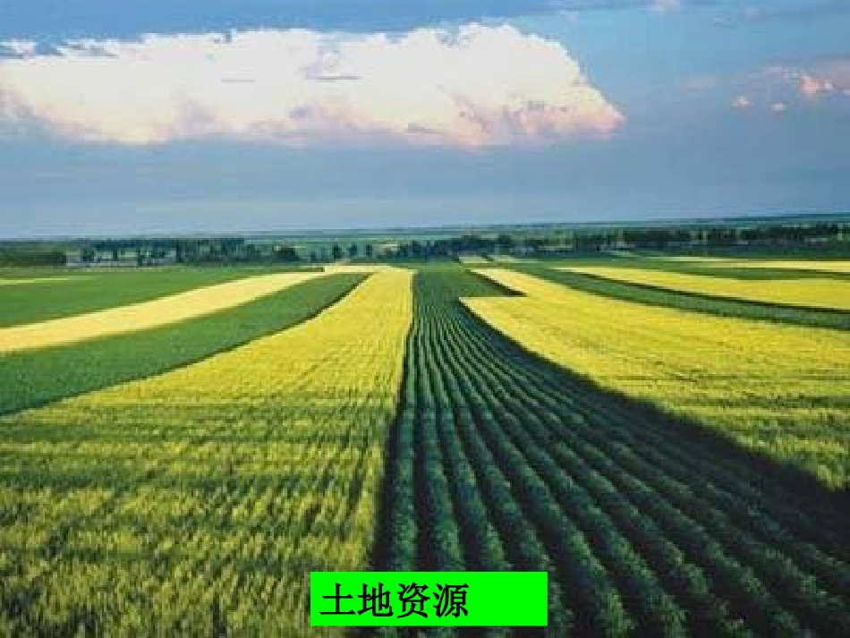 第三章第一节合理利用土地资源课件_第3页