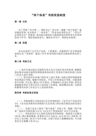 双体系奖惩制度