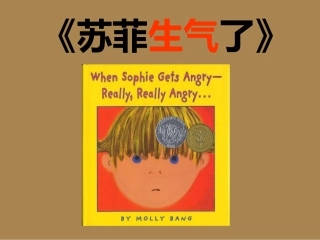 绘本故事ppt-苏菲生气了