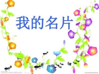 我的名片_大班美术