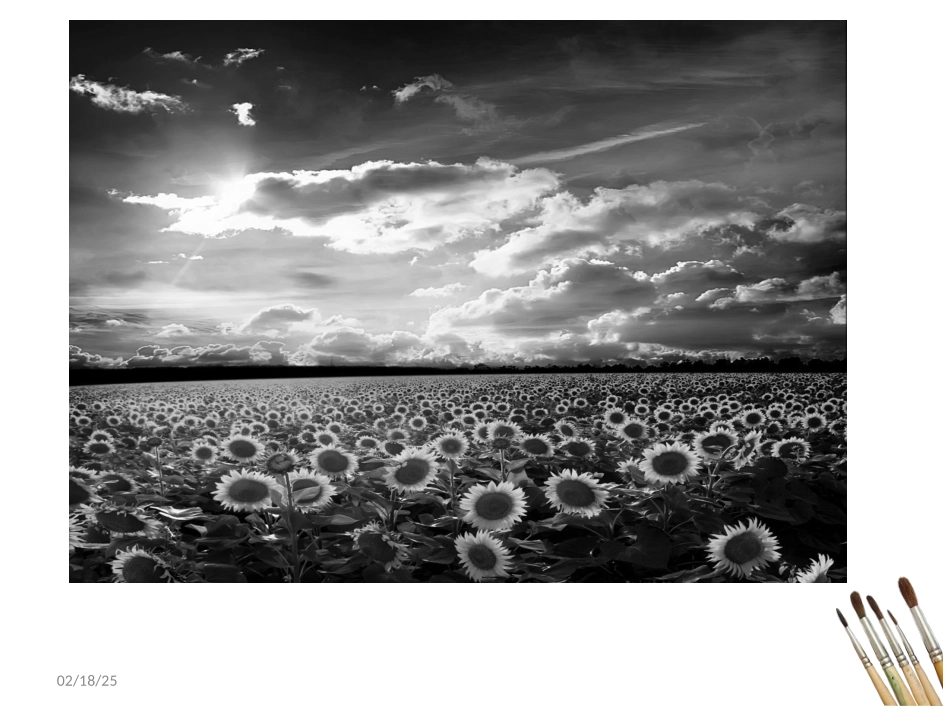 初一第三课2_第2页