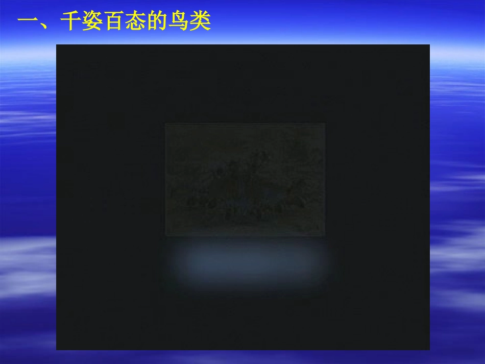 （旧）第11章第1节鸟类_第2页