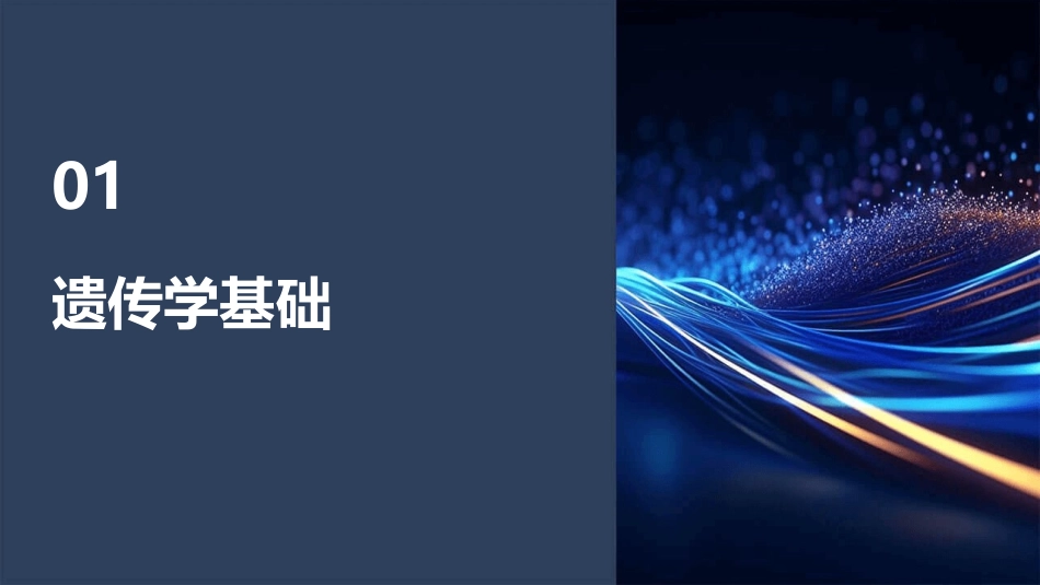 遗传学 细菌和病毒遗传噬菌体遗传分析护理课件_第3页