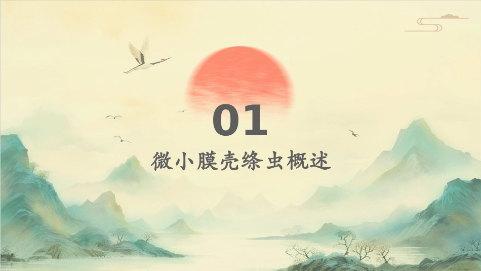 人卫版人体寄生虫学之微小膜壳绦虫教学护理课件_第3页