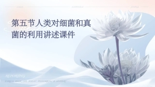 第五节人类对细菌和真菌的利用讲述课件