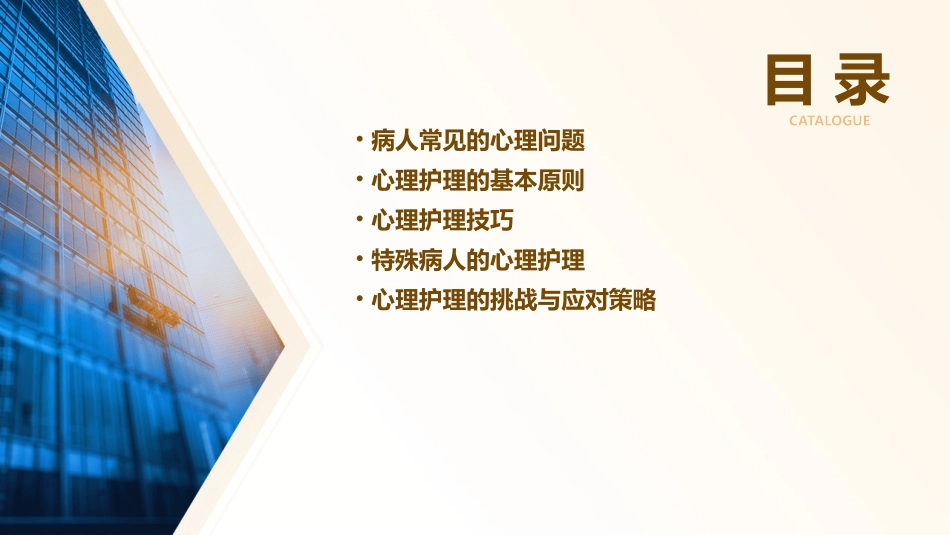 病人常见的心理问题与心理护理技巧通用课件_第2页