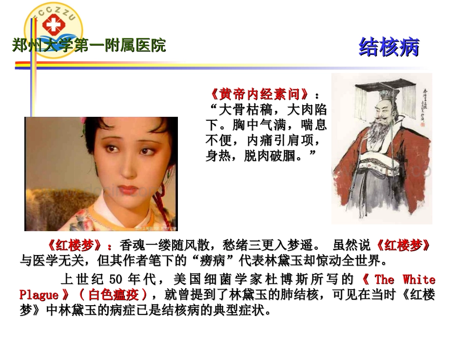 结核分枝杆菌及其实验室诊断新技术_第3页