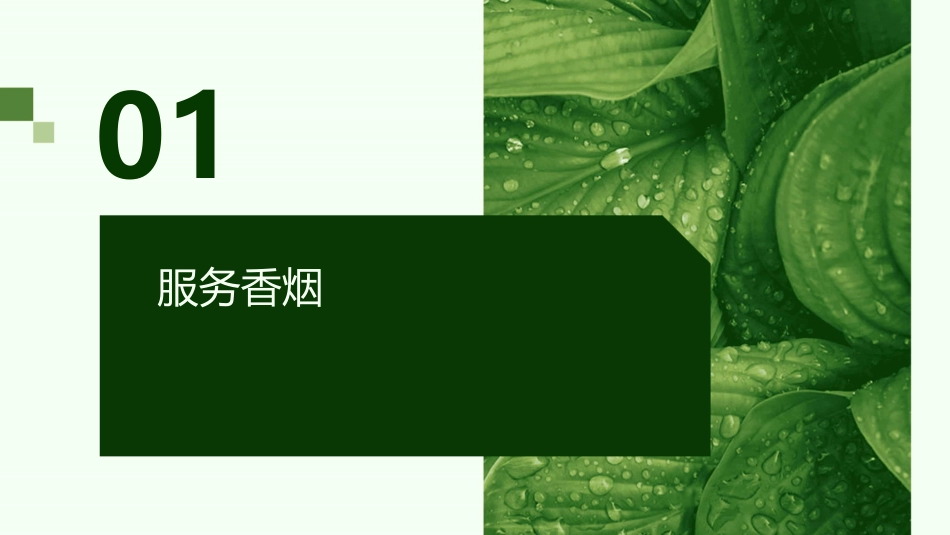 服务香烟酒水课件_第3页