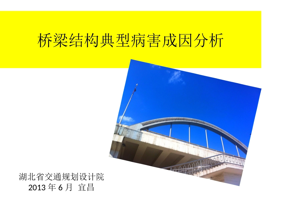 桥梁结构典型病害成因分析讲座_第1页