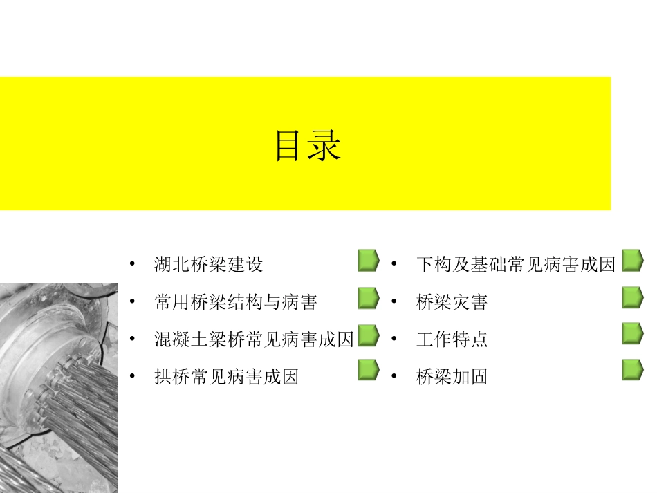 桥梁结构典型病害成因分析讲座_第2页