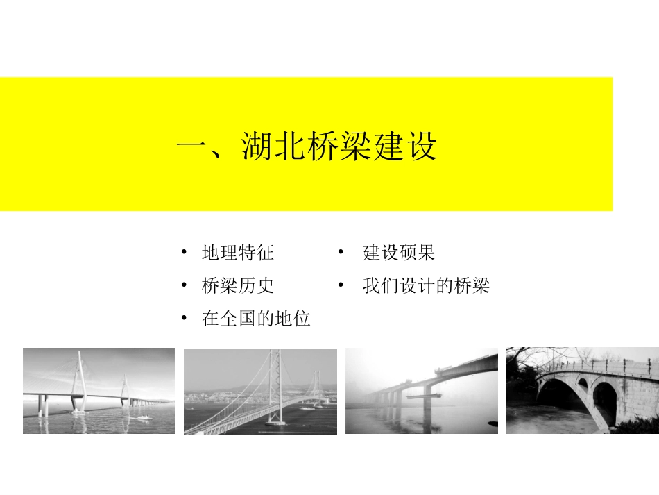 桥梁结构典型病害成因分析讲座_第3页