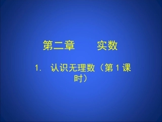 认识无理数(2)